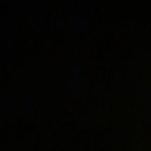 Meet your Posher, Carson